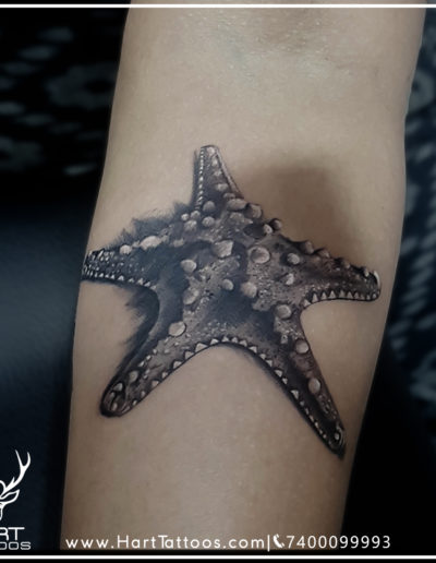 starfish forearm